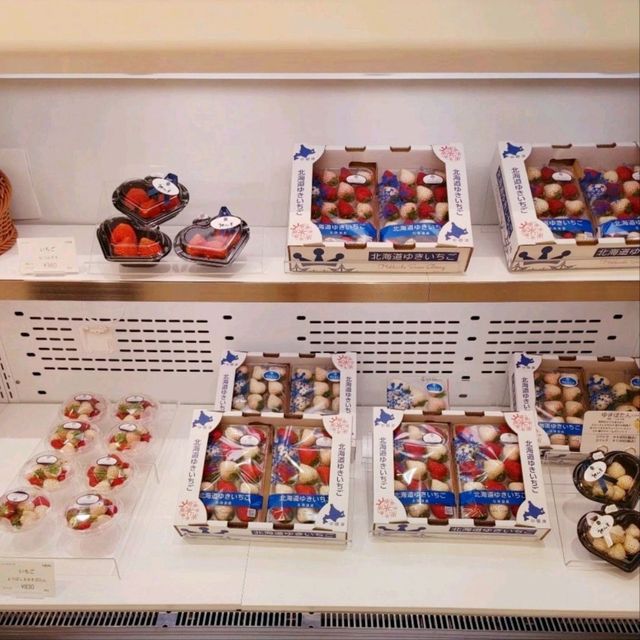 HOKKAIDO FRUITS 耕人舎

