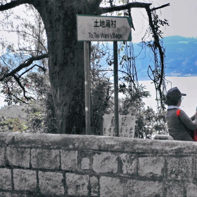 秋高氣爽，港島行山樂！