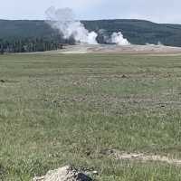 Yellowstone speaks for itself…just listen 💥