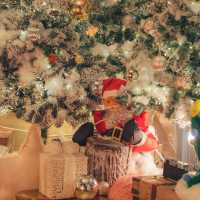크리스마스 포토존이 한가득인 카페 원주 사진정원🎄🎅🏻