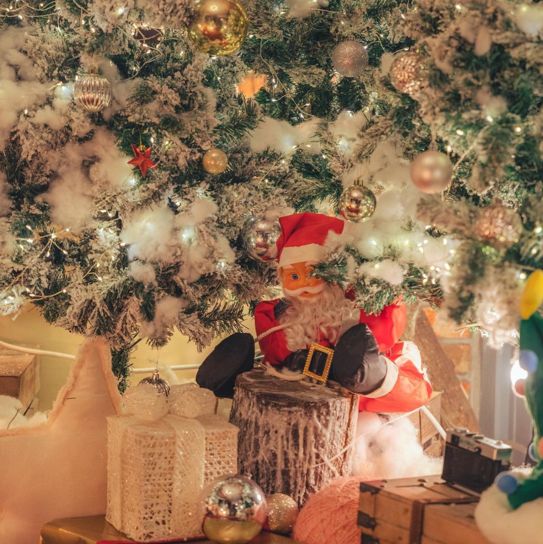 크리스마스 포토존이 한가득인 카페 원주 사진정원🎄🎅🏻