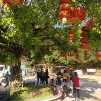 假曰好去處