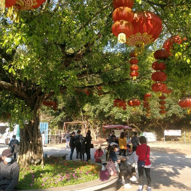 假曰好去處