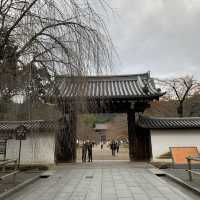 京都紅葉2022  醍醐寺の紅葉に感動