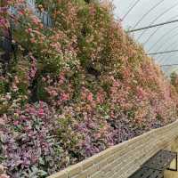 Cameron Highland Floral Park