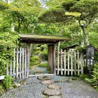 白雲洞茶苑　付属茶花園