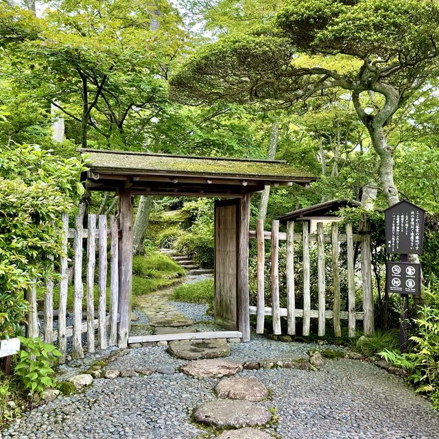 白雲洞茶苑　付属茶花園