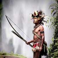 PAPUA NEW GUINEA. LAND OF THE UNEXPECTED