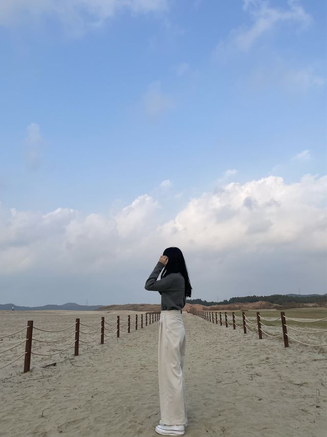 태안 인생샷 명소 :: 태안 신두리 해안사구🌵