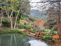 【桃園】景觀餐廳-悠然秘境小屋