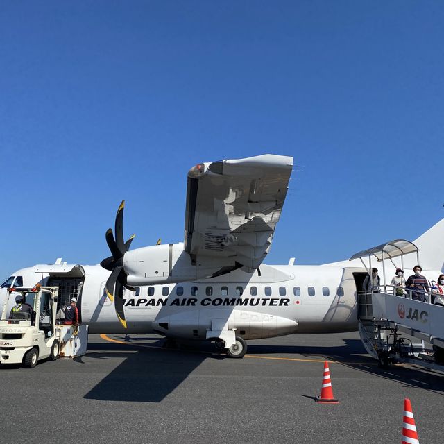 空路で行く屋久島✈️