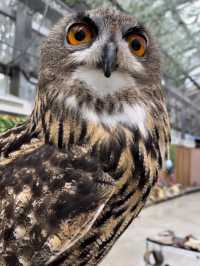 【掛川花鳥園】「花と鳥とのふれあい」が楽しめるテーマパーク