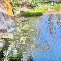 グランドプリンスホテル高輪の日本庭園
