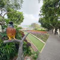賞花攻略 大埔海濱公園