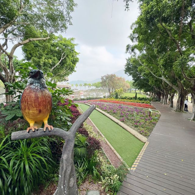 賞花攻略 大埔海濱公園