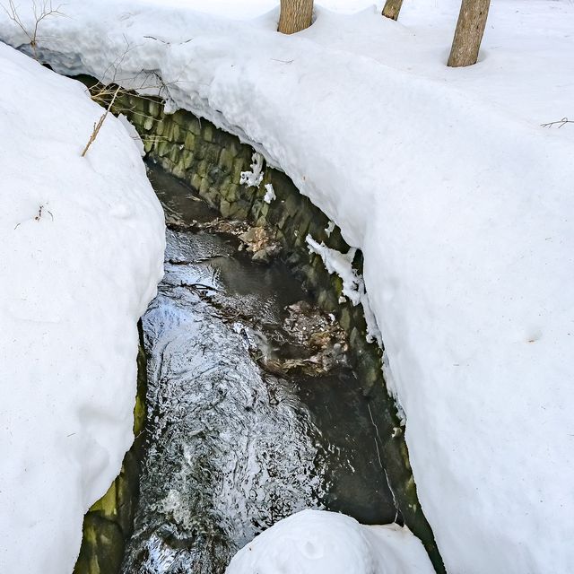 冬の円山公園から北海道神宮への参道