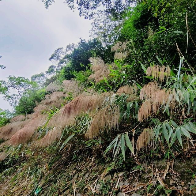香港好去處 ～ 盧吉道 