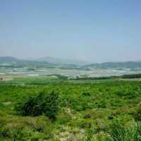 지리산 바래봉 등산 