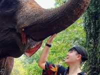 ล่องแพ แม่วาง