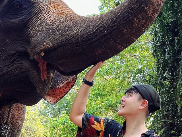 ล่องแพ แม่วาง