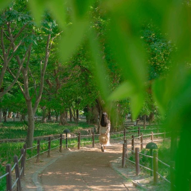 🌿경주가 가진 비밀의숲 [경주, 계림]