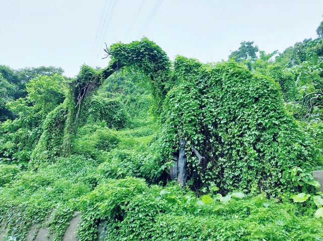 下花山