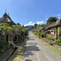 Palingpuran, Cleanest Village in The World