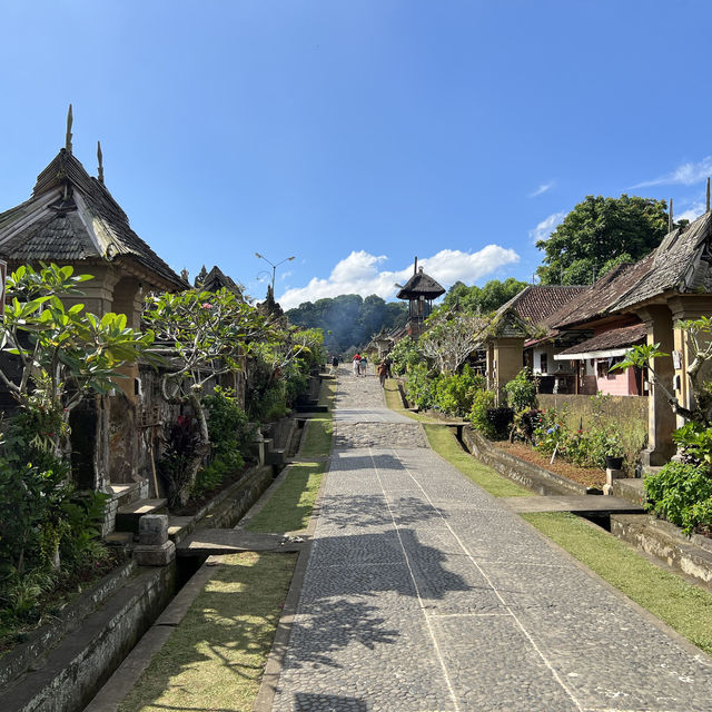 Palingpuran, Cleanest Village in The World