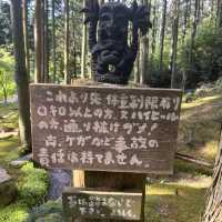【まるでジブリの世界！こけむしろ】