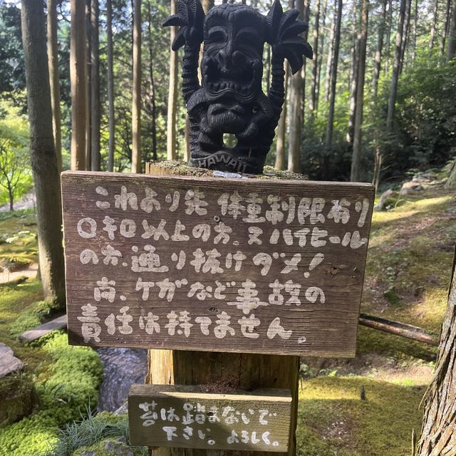 【まるでジブリの世界！こけむしろ】