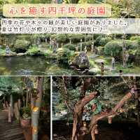 人気宿ランキング常連の温泉旅館「風雅の宿　長生館」宿泊記録　