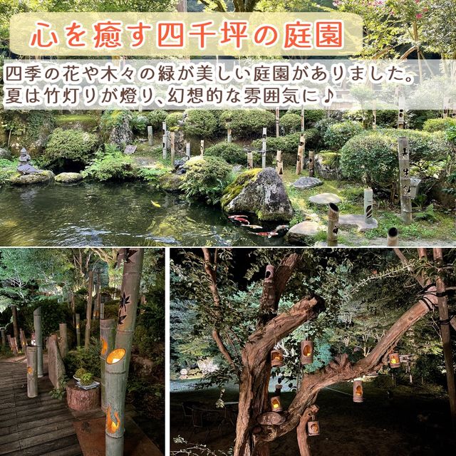 人気宿ランキング常連の温泉旅館「風雅の宿　長生館」宿泊記録　