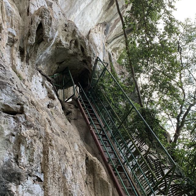 🇲🇾Lovely! Gunung Senyum, Jengka Pahang