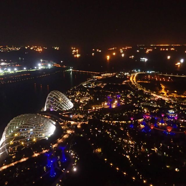 全新加坡🇸🇬最令景酒店🏨天台無邊際泳池❗️