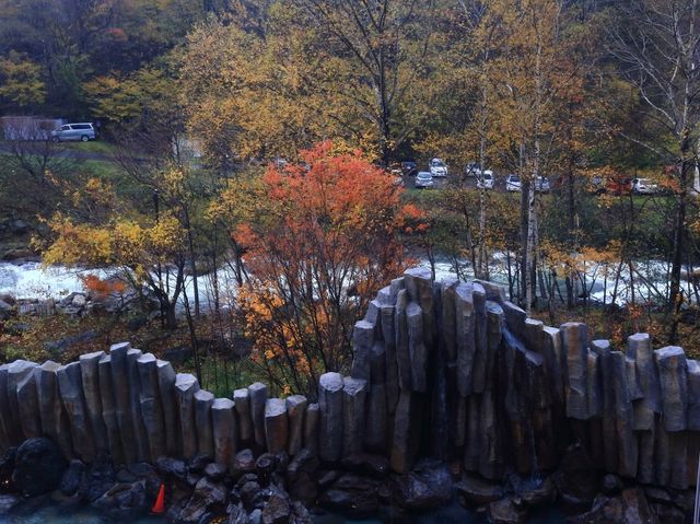 位於北海道看紅葉的特色飯店房間裡居然就有特色的造景