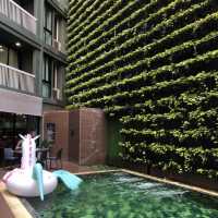 Swimming pool and gym at X Vibe Chiang Mai Decem