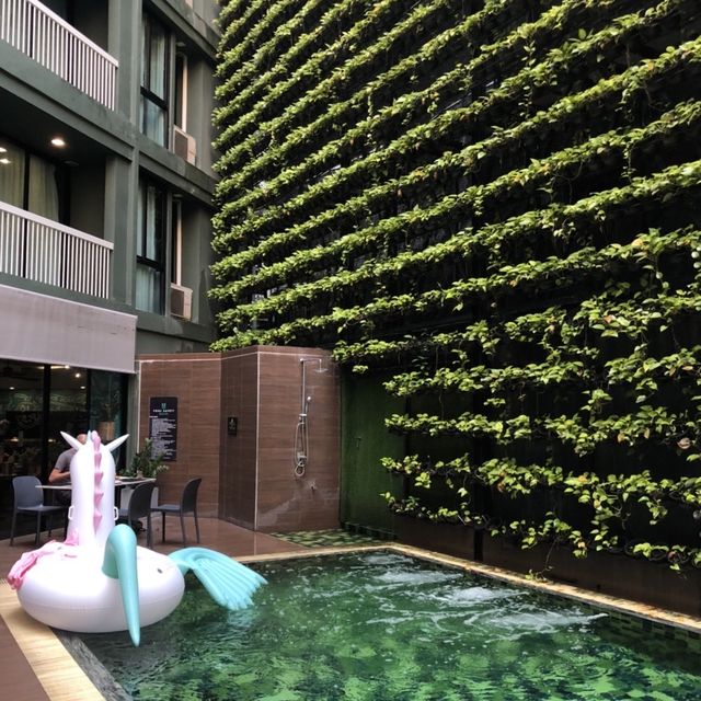 Swimming pool and gym at X Vibe Chiang Mai Decem