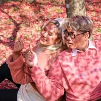 ญี่ปุ่น Autumnแล้วน๊าลากแฟนไปเร็วแก