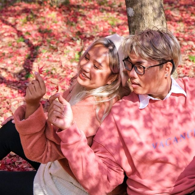 ญี่ปุ่น Autumnแล้วน๊าลากแฟนไปเร็วแก