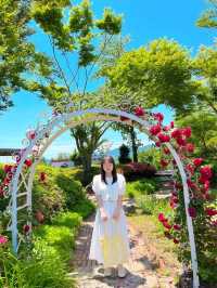 구례 천은사 산책하기 좋아요.