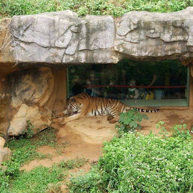 親子遊【新竹市區】新竹市立動物園