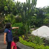 Secret Garden @ 1 Utama 🌵🌺