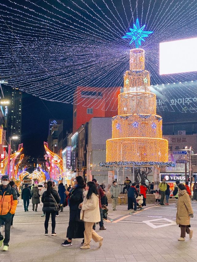 1월까지 만날 수 있는 대왕트리✨