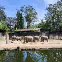 Wonderful Experience in Taiping Zoo