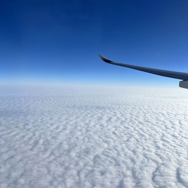 【台湾/台北】台湾のエティハド航空を目指して2021年就航開始したスターラックスで台湾へ！