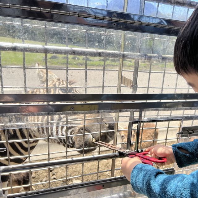 親子旅遊必到景點 - 九州自然動物園