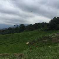 SIBOLANGIT