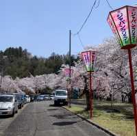 日本 天童公園舞鶴山