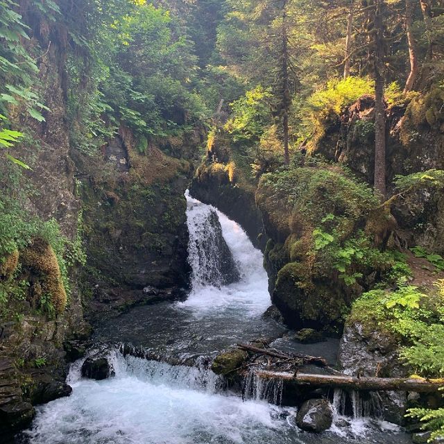 Girdwood Forest Fair