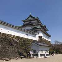 wakayama castle